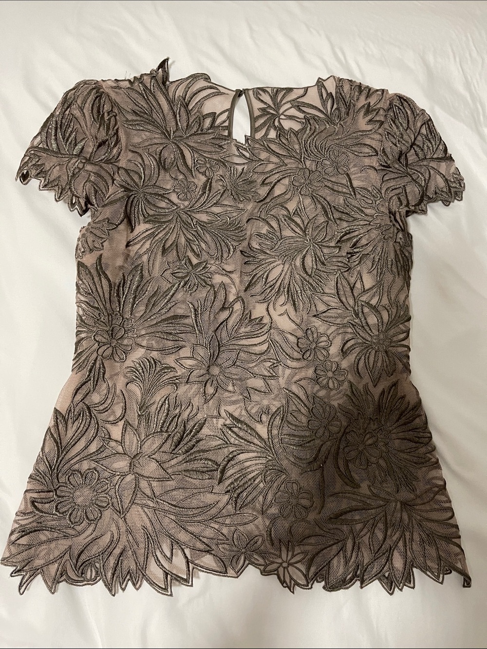 Sheer Floral Lace Short-Sleeve Top in Taupe